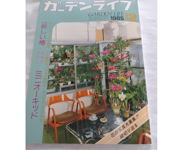 平成の登録
