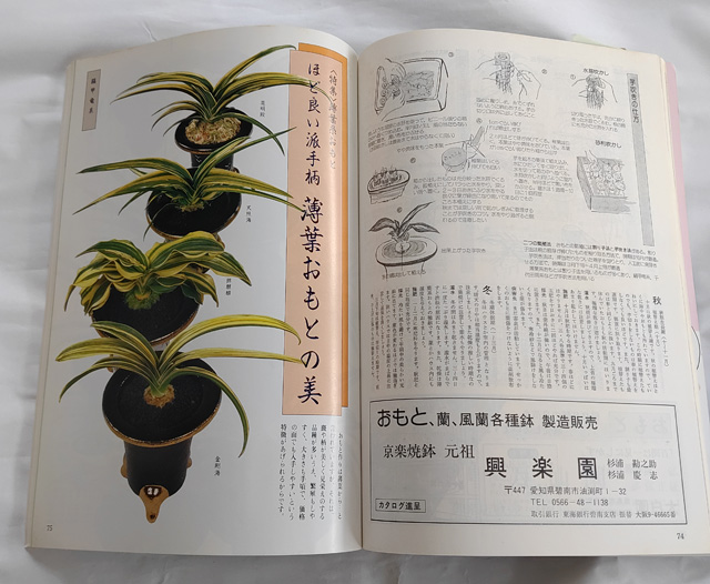 平成の登録