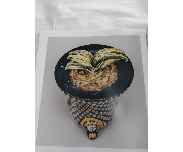 萬風展記念帳